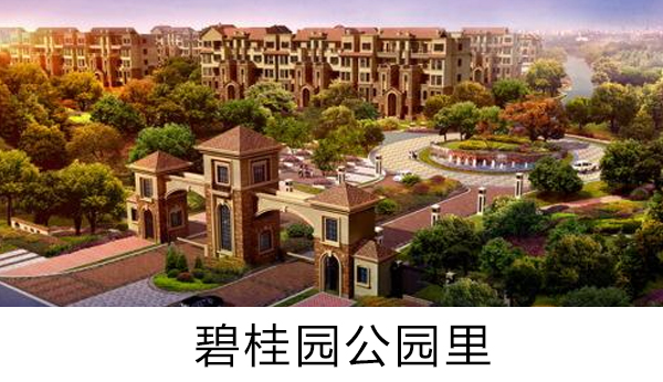 碧桂園公園裏